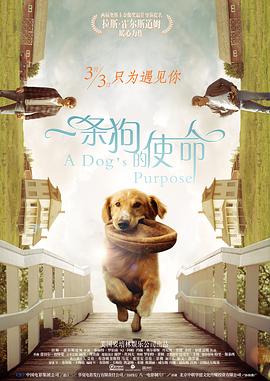 1080HD高清在线观看