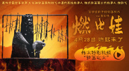 BD国语高清完整版