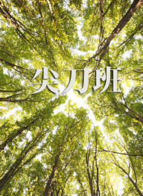 BD高清免费观看