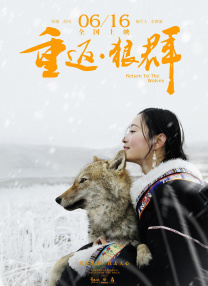 完结高清影视