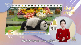 最近国语在线观看